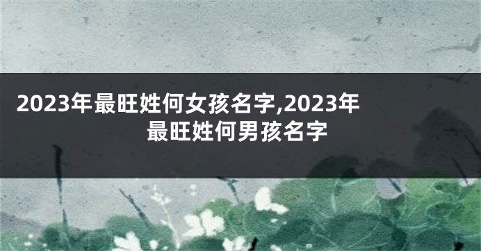 2023年最旺姓何女孩名字,2023年最旺姓何男孩名字