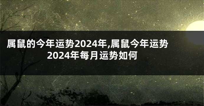 属鼠的今年运势2024年,属鼠今年运势2024年每月运势如何