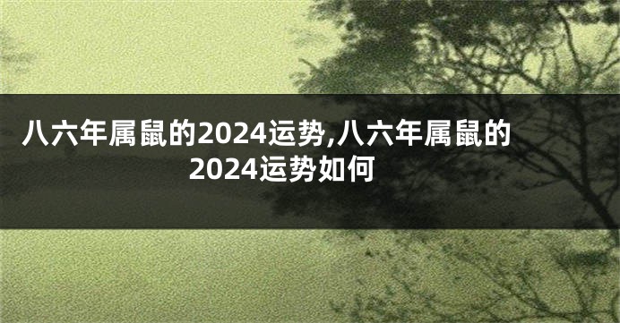 八六年属鼠的2024运势,八六年属鼠的2024运势如何