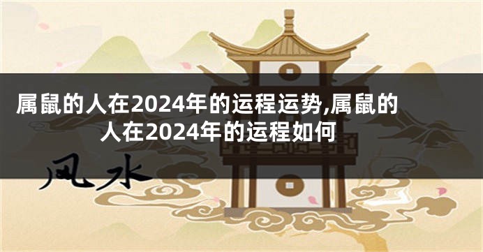 属鼠的人在2024年的运程运势,属鼠的人在2024年的运程如何