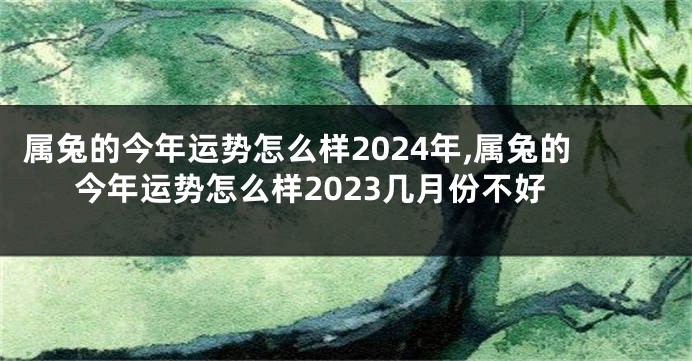 属兔的今年运势怎么样2024年,属兔的今年运势怎么样2023几月份不好