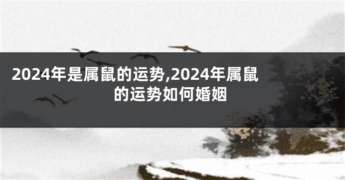 2024年是属鼠的运势,2024年属鼠的运势如何婚姻