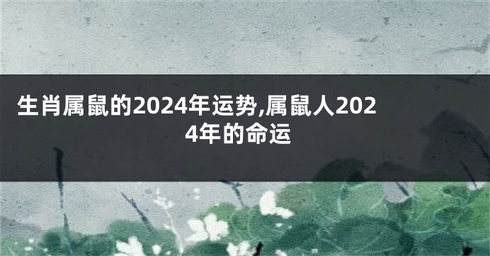 生肖属鼠的2024年运势,属鼠人2024年的命运