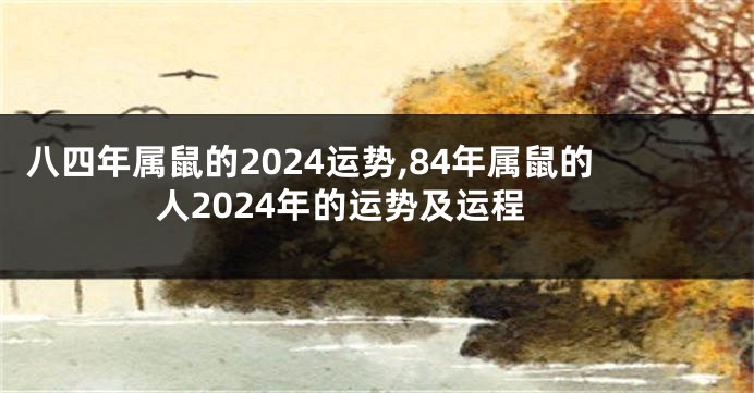 八四年属鼠的2024运势,84年属鼠的人2024年的运势及运程