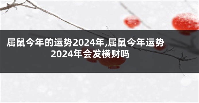 属鼠今年的运势2024年,属鼠今年运势2024年会发横财吗