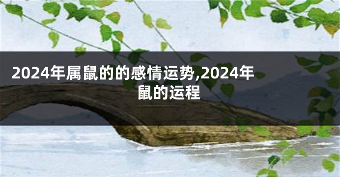 2024年属鼠的的感情运势,2024年鼠的运程