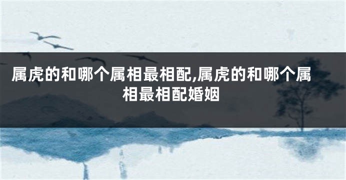 属虎的和哪个属相最相配,属虎的和哪个属相最相配婚姻