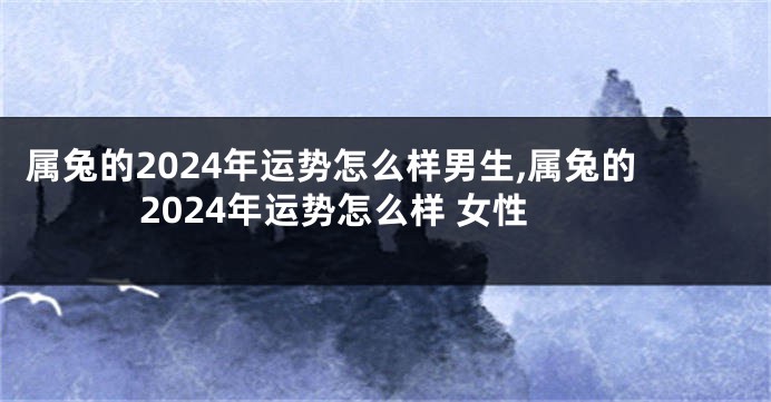 属兔的2024年运势怎么样男生,属兔的2024年运势怎么样 女性