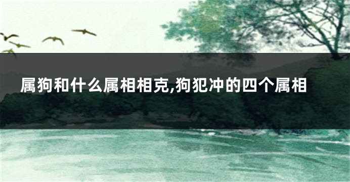 属狗和什么属相相克,狗犯冲的四个属相