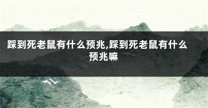 踩到死老鼠有什么预兆,踩到死老鼠有什么预兆嘛