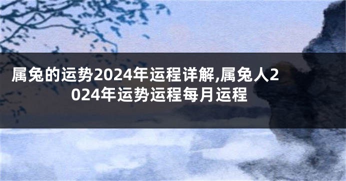 属兔的运势2024年运程详解,属兔人2024年运势运程每月运程