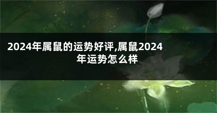 2024年属鼠的运势好评,属鼠2024年运势怎么样