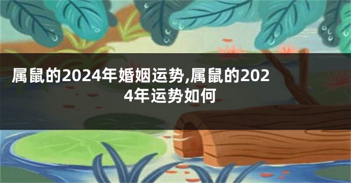 属鼠的2024年婚姻运势,属鼠的2024年运势如何