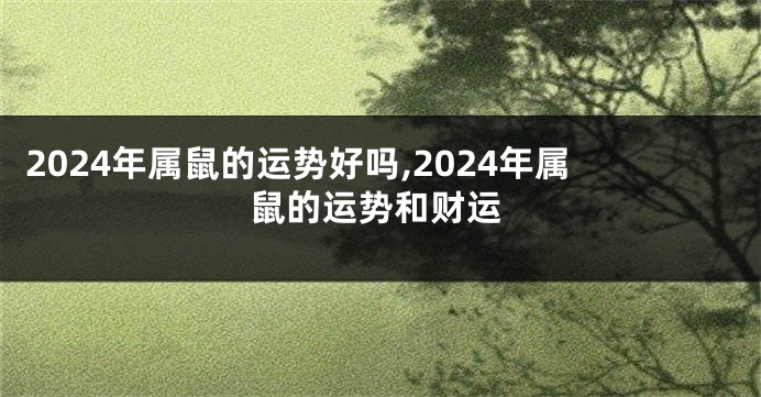 2024年属鼠的运势好吗,2024年属鼠的运势和财运