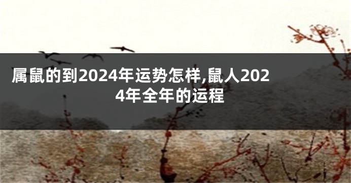 属鼠的到2024年运势怎样,鼠人2024年全年的运程