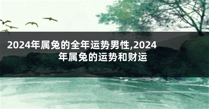 2024年属兔的全年运势男性,2024年属兔的运势和财运