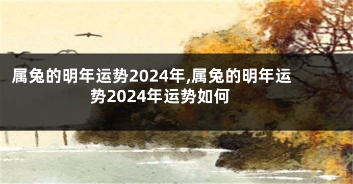 属兔的明年运势2024年,属兔的明年运势2024年运势如何