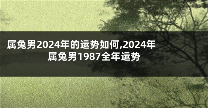 属兔男2024年的运势如何,2024年属兔男1987全年运势