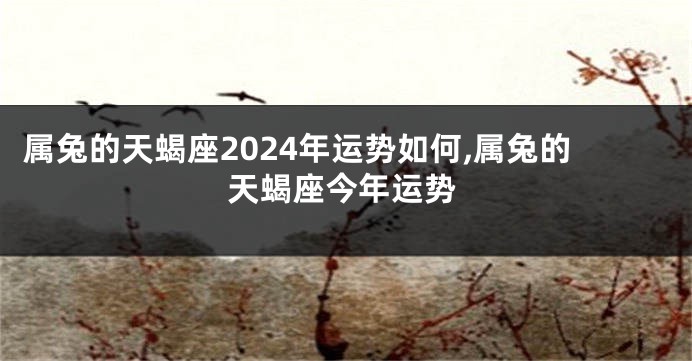 属兔的天蝎座2024年运势如何,属兔的天蝎座今年运势