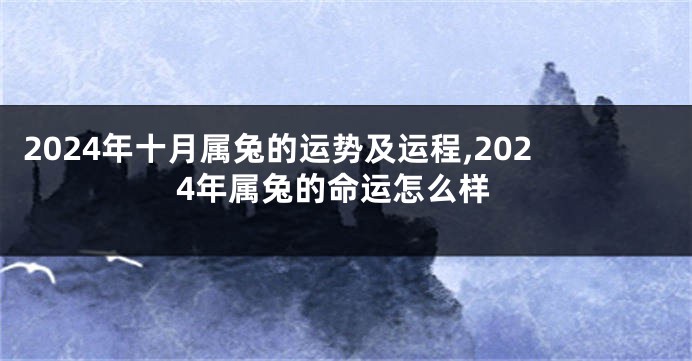 2024年十月属兔的运势及运程,2024年属兔的命运怎么样