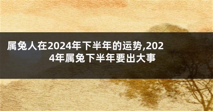 属兔人在2024年下半年的运势,2024年属兔下半年要出大事