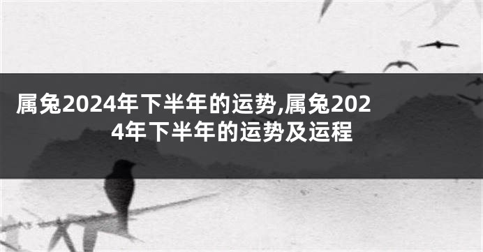 属兔2024年下半年的运势,属兔2024年下半年的运势及运程