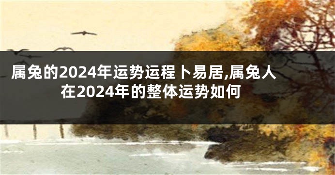 属兔的2024年运势运程卜易居,属兔人在2024年的整体运势如何