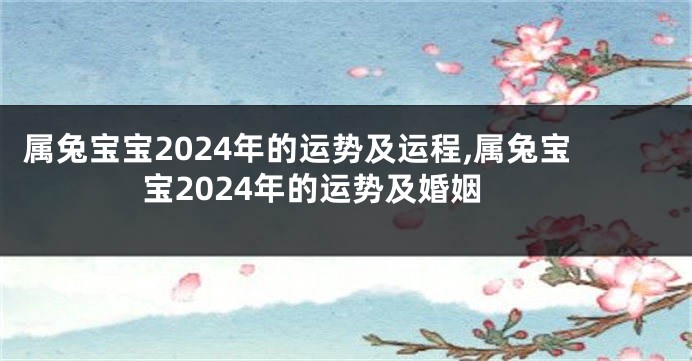 属兔宝宝2024年的运势及运程,属兔宝宝2024年的运势及婚姻