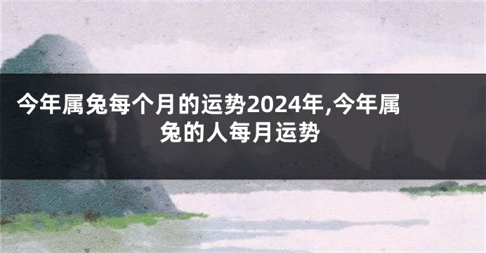 今年属兔每个月的运势2024年,今年属兔的人每月运势