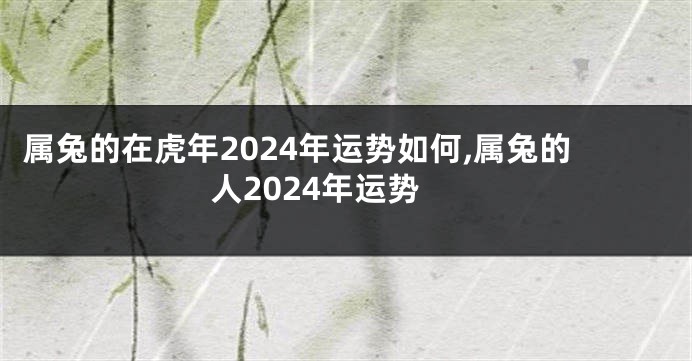 属兔的在虎年2024年运势如何,属兔的人2024年运势