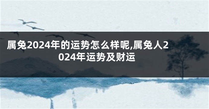 属兔2024年的运势怎么样呢,属兔人2024年运势及财运