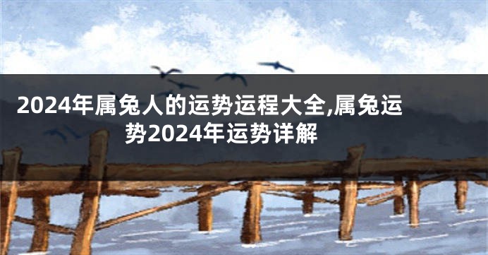 2024年属兔人的运势运程大全,属兔运势2024年运势详解