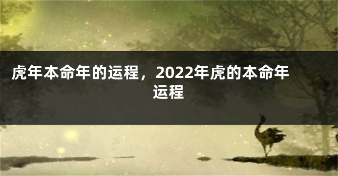 虎年本命年的运程，2022年虎的本命年运程