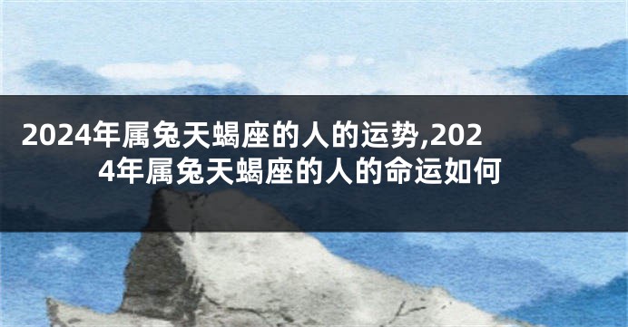 2024年属兔天蝎座的人的运势,2024年属兔天蝎座的人的命运如何