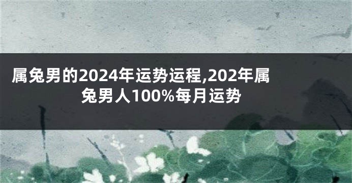 属兔男的2024年运势运程,202年属兔男人100%每月运势