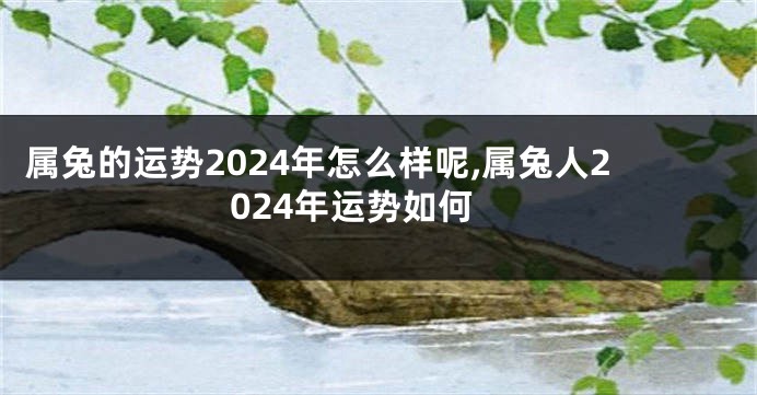 属兔的运势2024年怎么样呢,属兔人2024年运势如何