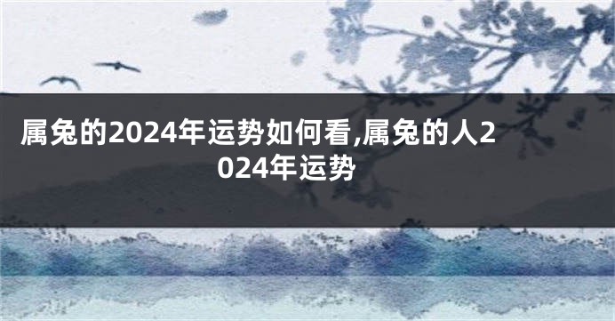 属兔的2024年运势如何看,属兔的人2024年运势