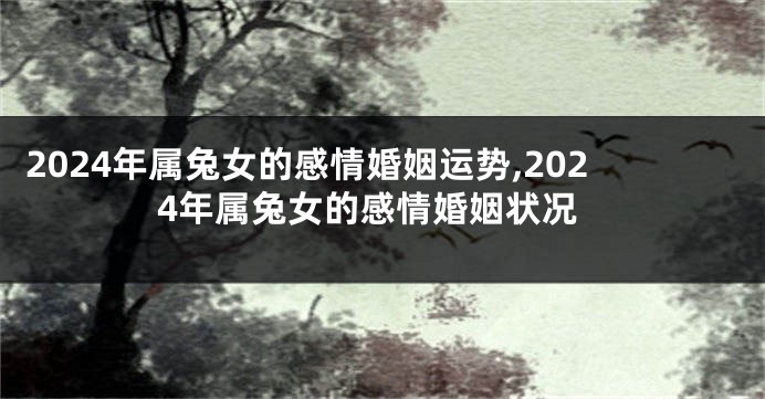 2024年属兔女的感情婚姻运势,2024年属兔女的感情婚姻状况