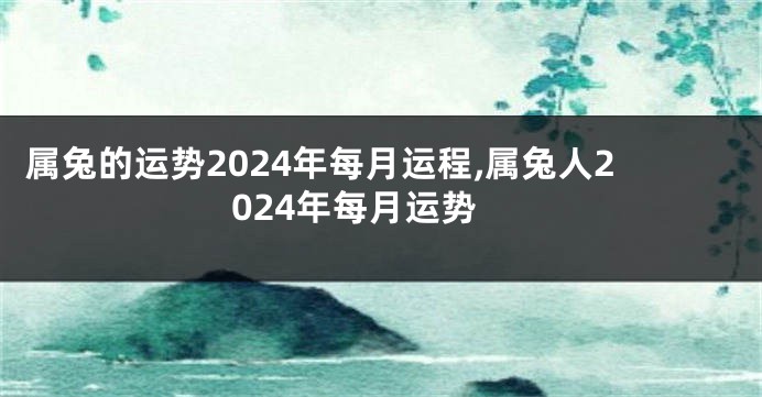 属兔的运势2024年每月运程,属兔人2024年每月运势