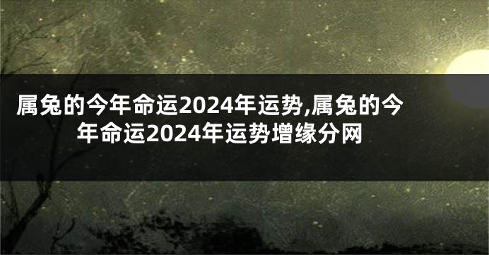 属兔的今年命运2024年运势,属兔的今年命运2024年运势增缘分网