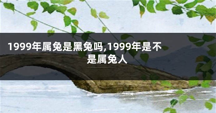 1999年属兔是黑兔吗,1999年是不是属兔人