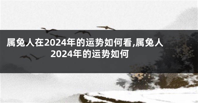 属兔人在2024年的运势如何看,属兔人2024年的运势如何