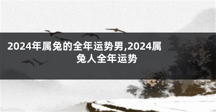 2024年属兔的全年运势男,2024属兔人全年运势