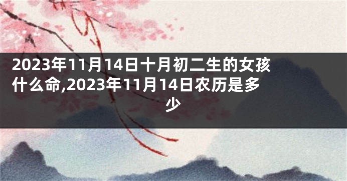 2023年11月14日十月初二生的女孩什么命,2023年11月14日农历是多少