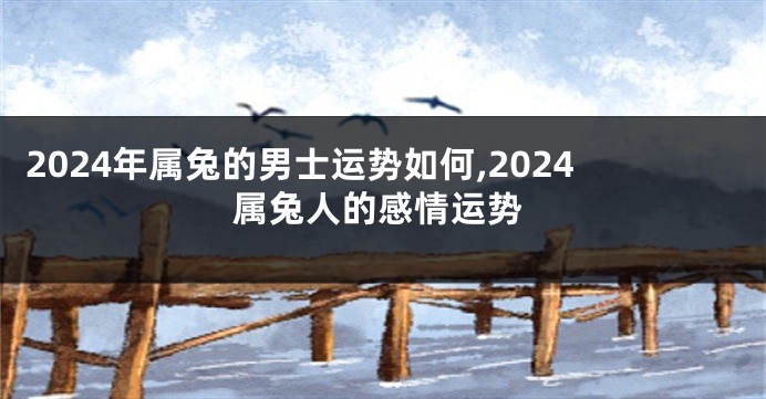 2024年属兔的男士运势如何,2024属兔人的感情运势