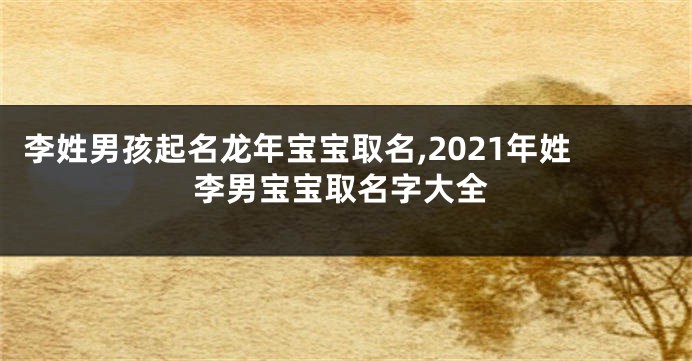 李姓男孩起名龙年宝宝取名,2021年姓李男宝宝取名字大全