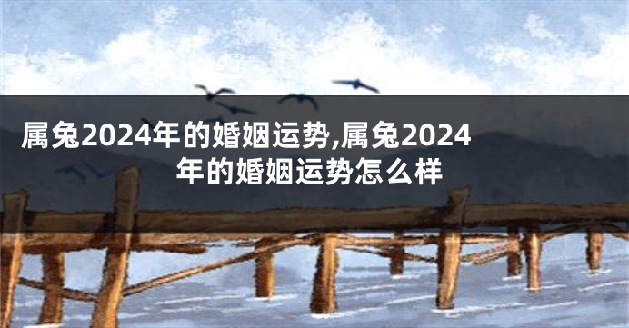 属兔2024年的婚姻运势,属兔2024年的婚姻运势怎么样