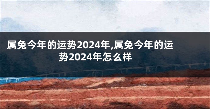 属兔今年的运势2024年,属兔今年的运势2024年怎么样