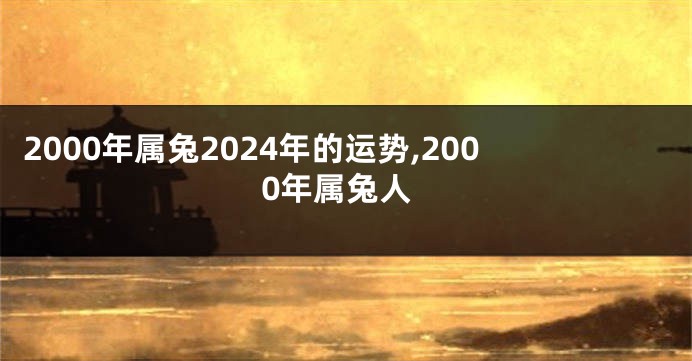 2000年属兔2024年的运势,2000年属兔人