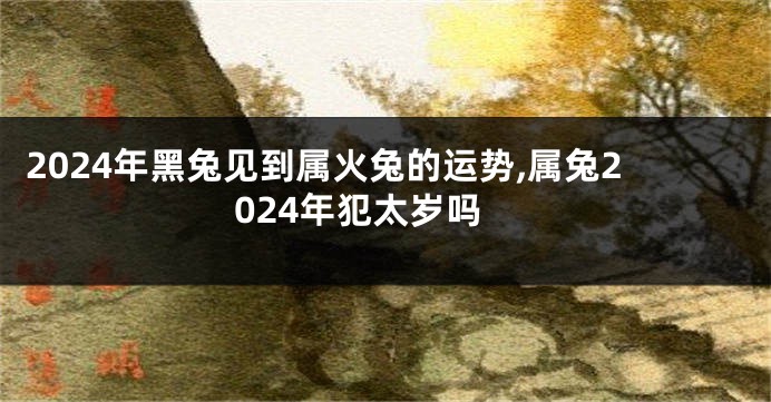 2024年黑兔见到属火兔的运势,属兔2024年犯太岁吗